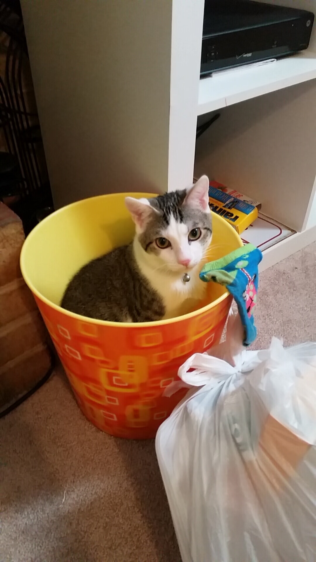 伊布高能爆发难掩颓势,曼城正面碾压比利时防线彰显王者风范