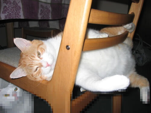 瑞士生死战,当C罗成为那把独一无二的锁,英格兰发现自己才是待开的锁