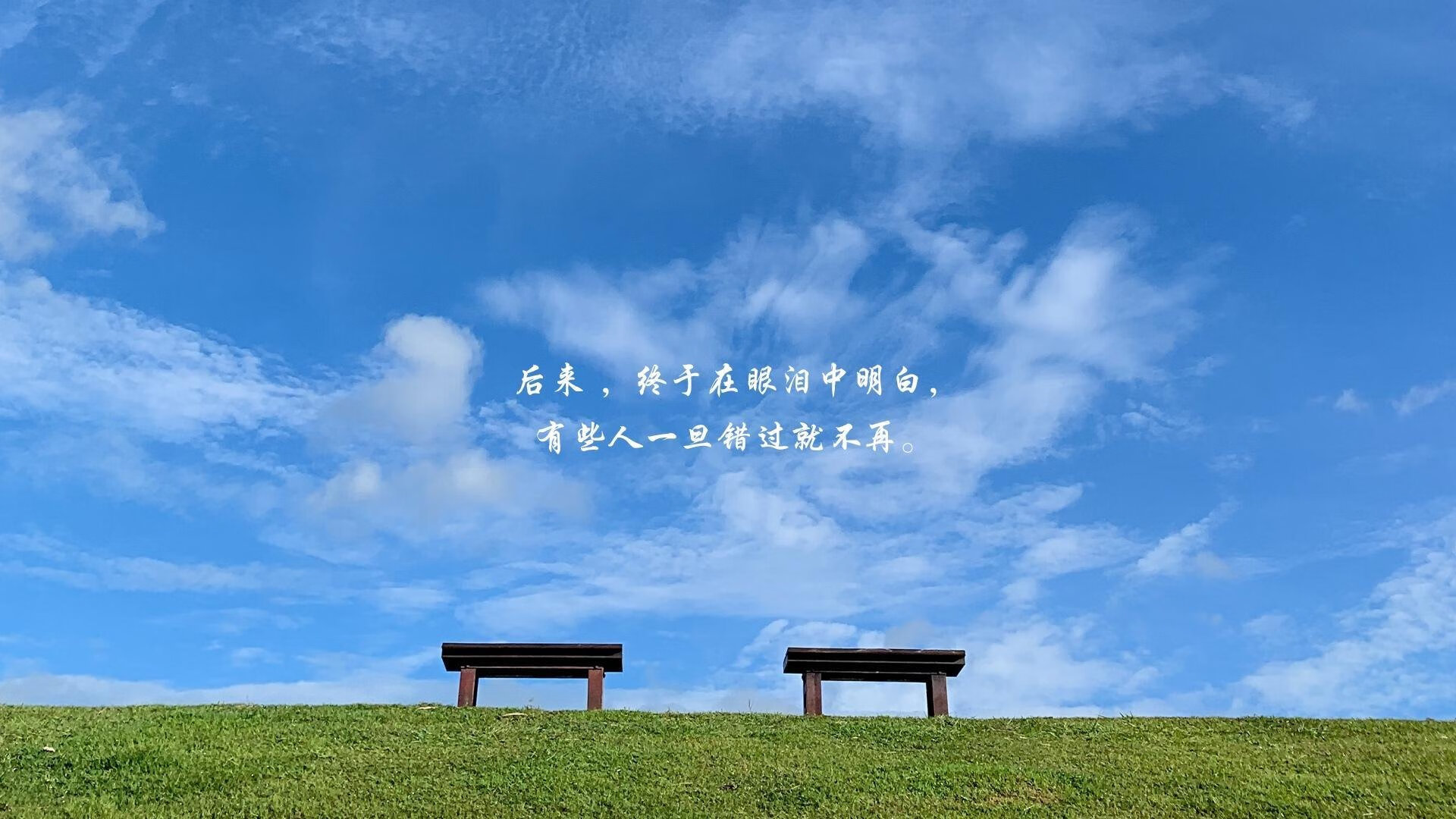 阿坎吉的怒吼，皇家社会的回响，当逆转成为跨越时空的密码