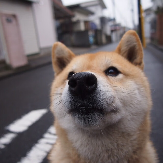 门神的轰鸣与无声的绞索，当库尔图瓦的存在感碾压了乌克兰的节奏艺术