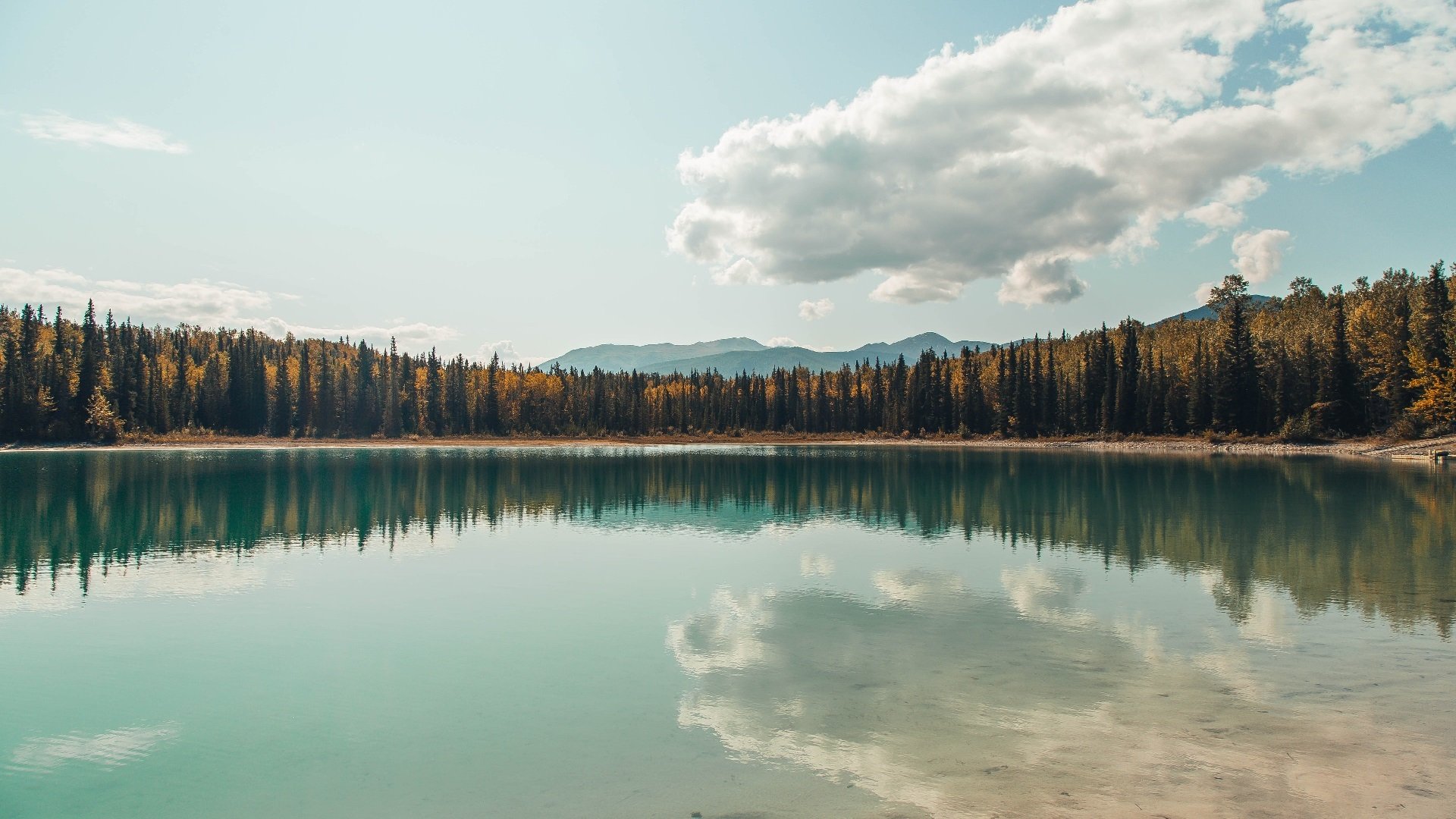 奥运前哨战,小贾伦关键夜统治全场,为梦想铺就最后一里路