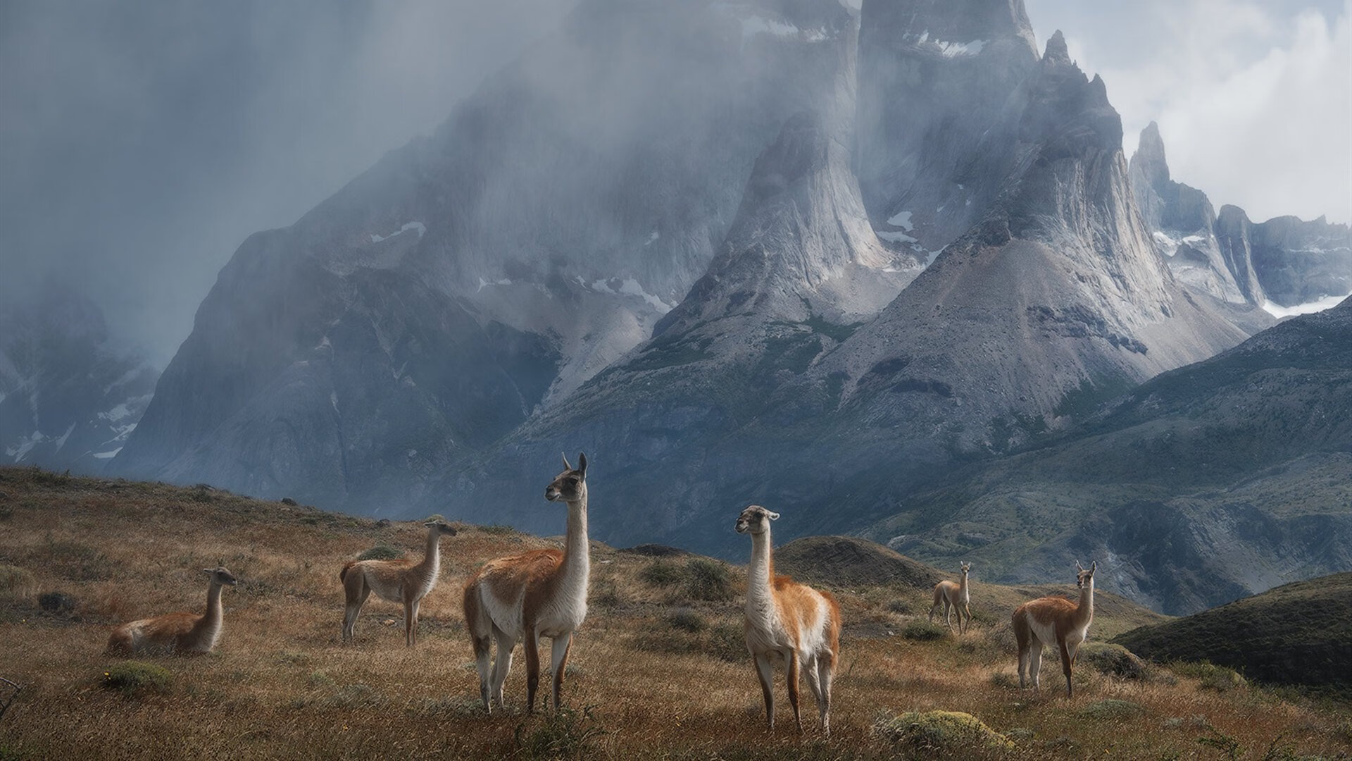 跨越国界的逆袭，莫兰特爆发助山西队强行终结步行者传奇