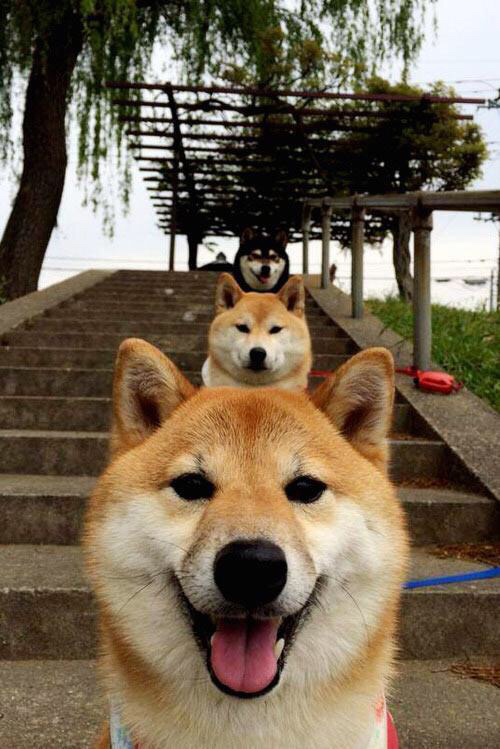 守夜人内马尔,东决关键战夜的钢铁锁链