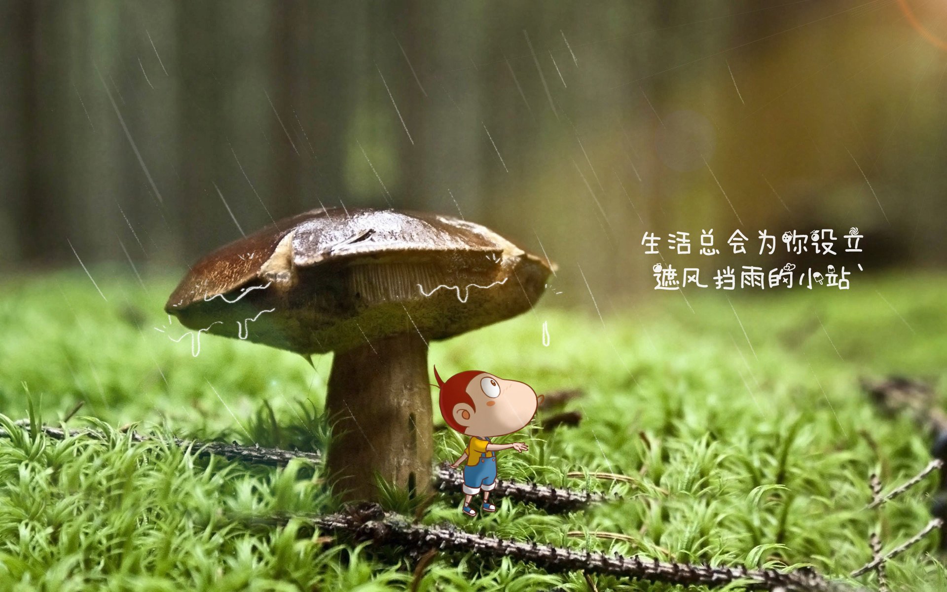 极地之刃刺穿樱花—芬兰防守反击致胜，穆西亚拉导演2026世界杯G组冷门之夜